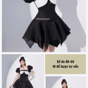 DS29Bk2