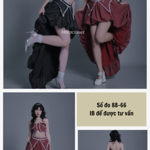 DS48SET