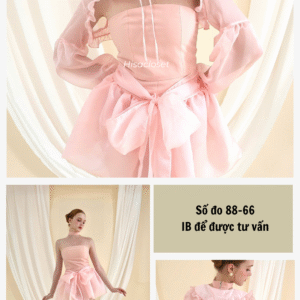DS59SETP2