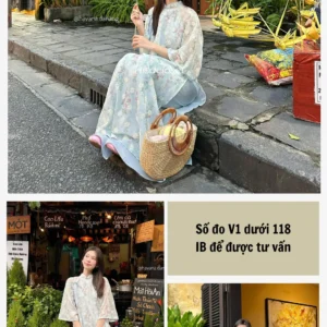 HSAD24